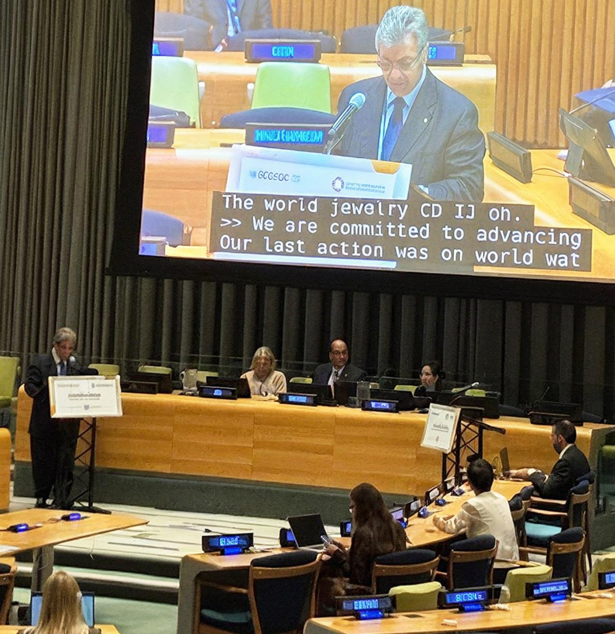 un_ecosoc_cibjo